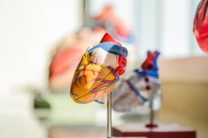 facts and statistics about the human heart