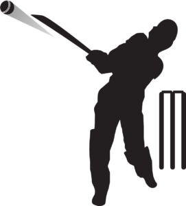 facts and statistics about cricket